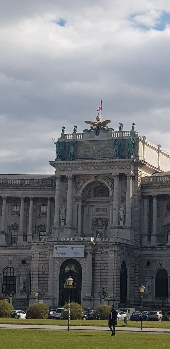 FoodIrish's tweet photo. Oh Vienna... https://t.co/MFsaCr7X1z