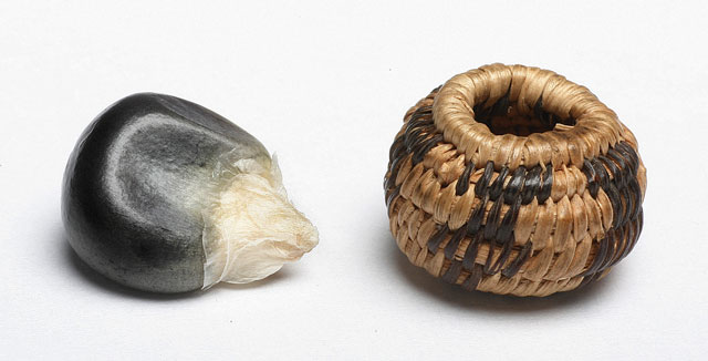 there's a whole tradition of impossibly tiny baskets. like here's a Pomo basket from the early 1900s, next to a single corn kernel for scale