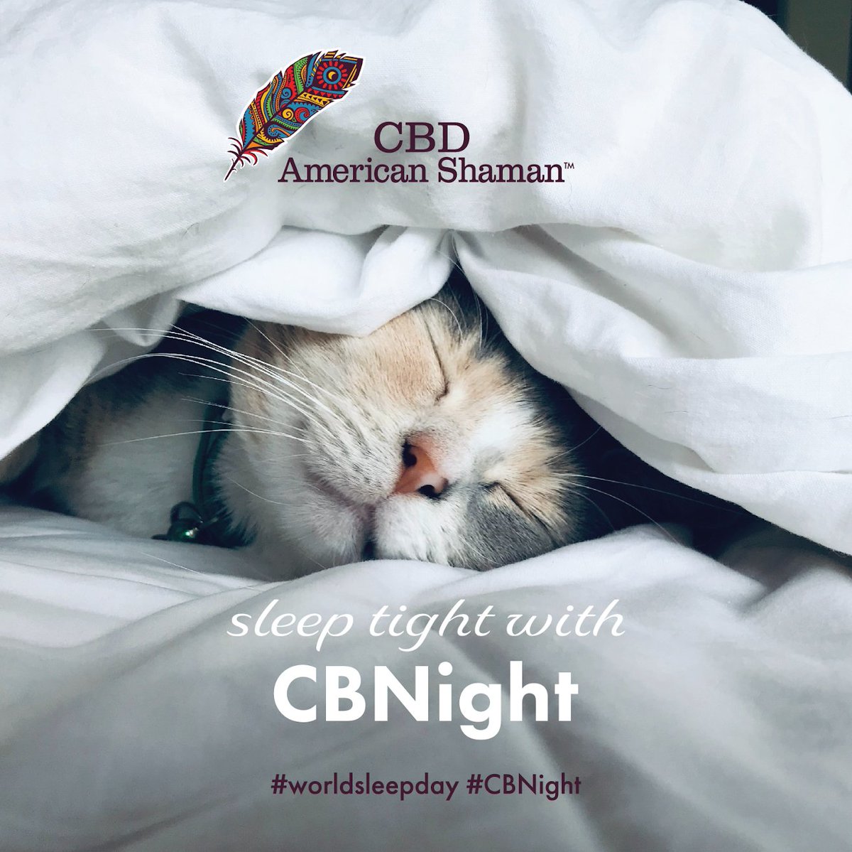 CbdProvidence's tweet photo. Did you get enough 💤s  during  #WorldSleepDay ?  If  not CBNight  may  be  for  you!  #CBDThayer #Cbdoil #CBDRI #CBN #HempOil #CBG #CBD #Caturday https://t.co/DHPHRuGF9h