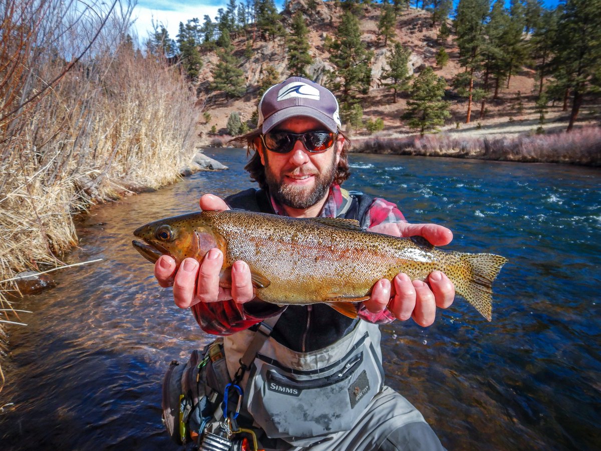 Happy to announce that Paul Popovitch is joing runsandriffles.com as a contributor.  Paul brings a wealth of fly fishing and fly tying experience to the site.
#coloradoflyfishing #colorado #troutbum #troutonthefly #tightlines #trout #flyfishing #flytying #fishing
