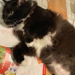 Photo by Peter A. Knight (@PeterKnight71)