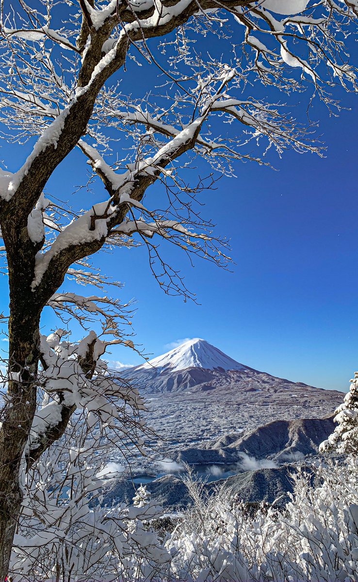 Take 綺麗な雪景色なので待ち受け画像にしました よろしかったらお使い下さい 縦位置