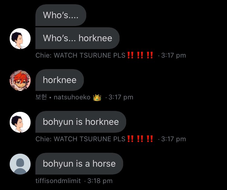 bohyun confirmed horknee horse