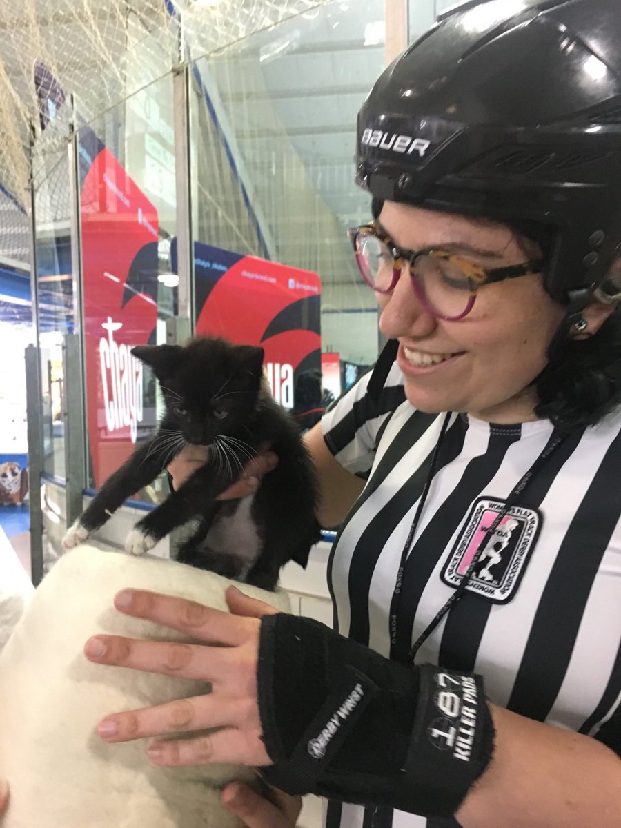 Stakselrod's tweet photo. If you’re having a rough day, here’s some #GrittyKitty content to hopefully cheer you up some. All pictures taken during ECDX, the first weekend we spent together. https://t.co/CHouOJioAX