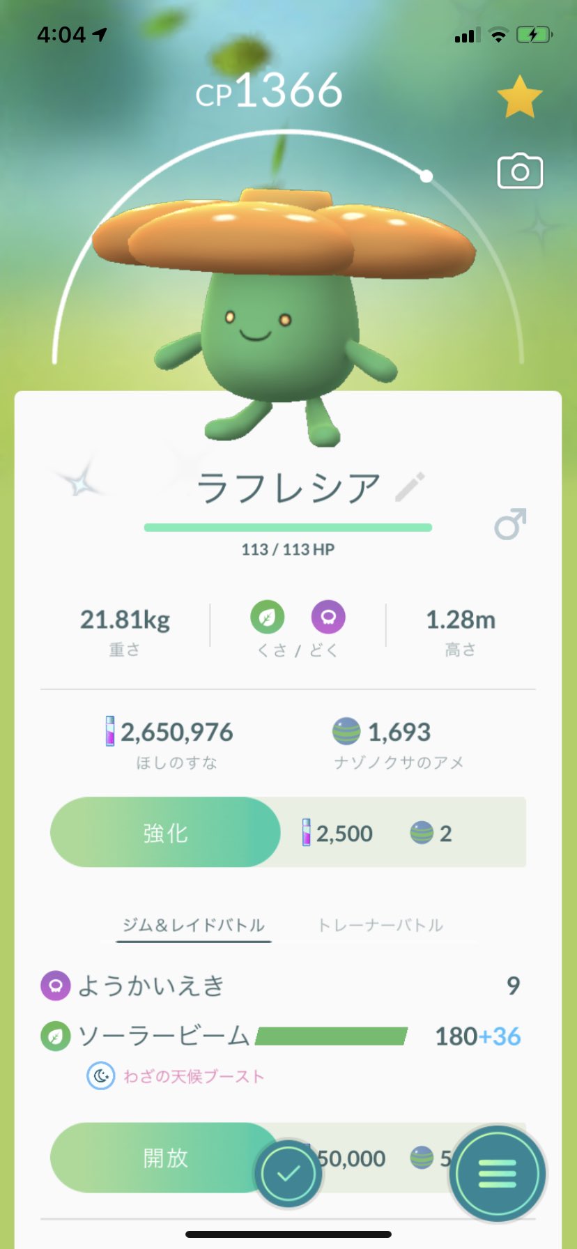O Xrhsths ポラリス Sto Twitter ポケモンgo 色違いナゾノクサを進化 クサイハナ ラフレシア クサイハナをたいようのいしを使ってキレイハナ コンプリートです ポケモンgo ナゾノクサ 色違い T Co K7im0obhbp Twitter