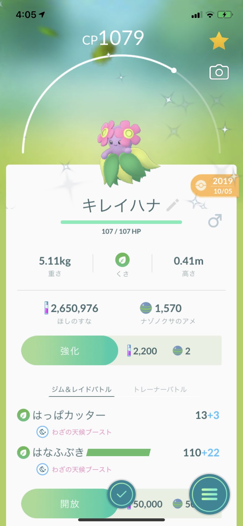 ポラリス ポケモンgo 色違いナゾノクサを進化 クサイハナ ラフレシア クサイハナをたいようのいしを使ってキレイハナ コンプリートです ポケモンgo ナゾノクサ 色違い T Co K7im0obhbp Twitter