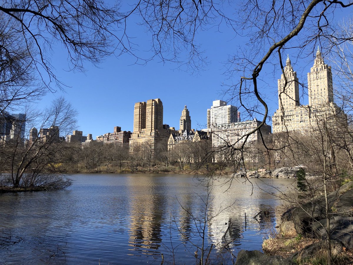 DrDanSiegel's tweet photo. Epidemiologists suggest #SocialDistancing to reduce the spread of the novel #coronavirus. Here in New York City’s Central Park, we can see many ways of being outside yet far from one another.  Let’s keep the importance of our interconnectedness with each other &amp; nature a priority https://t.co/nrVycxGRa9