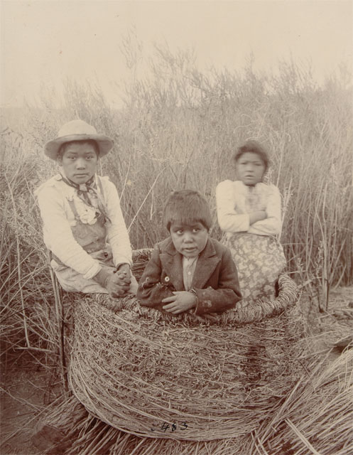 one last 'baby in a basket' photo — three unidentified Chemehuevi kids from the early 1900s in a big ass granary basket