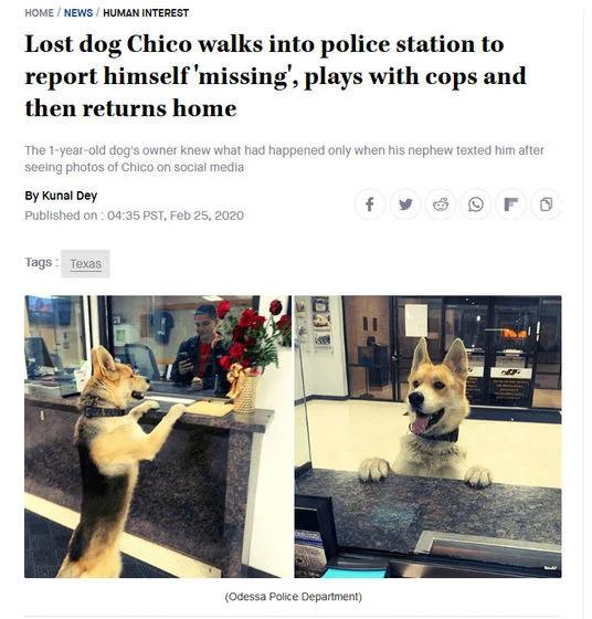 飼い犬が脱走した結果？自分で警察署に出頭したwww