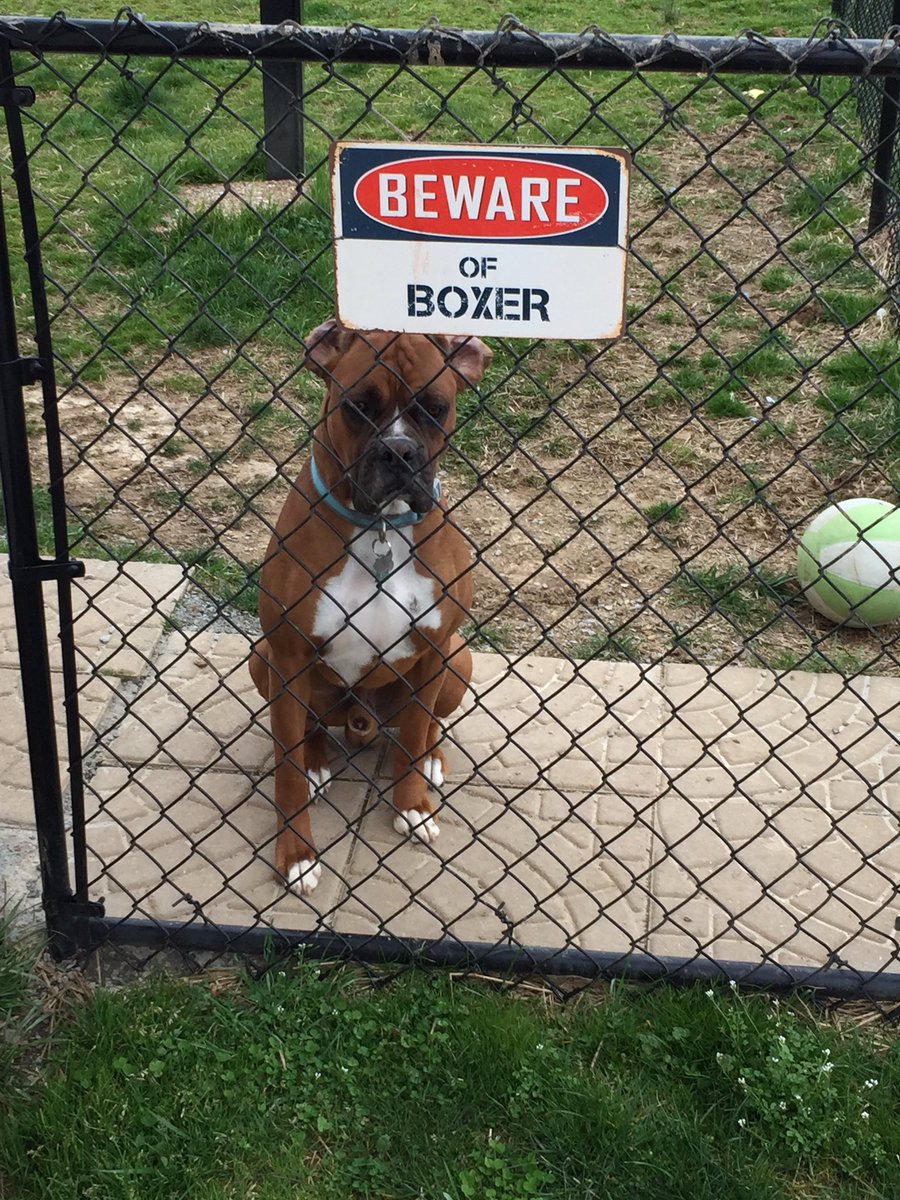 NashTheBoxer's tweet photo. read the sign 😤 https://t.co/K0stQoiHMV