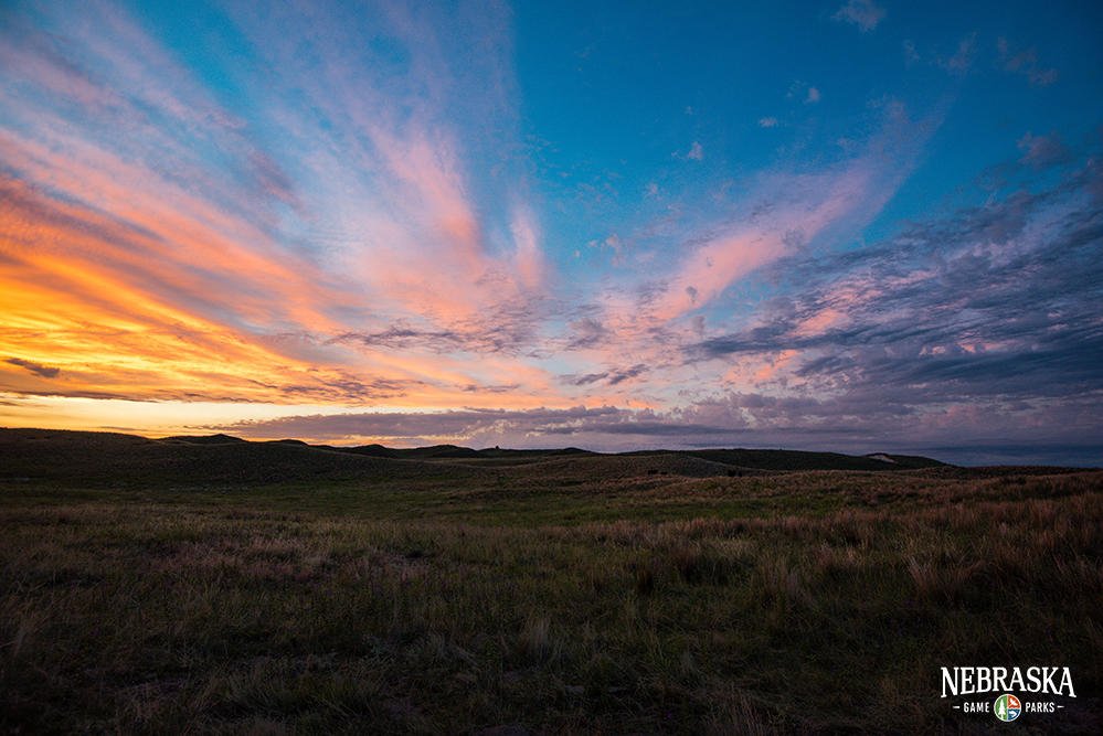 NEGameandParks's tweet photo. The sun sets on the Sandhills in the Bessy District of the Nebraska National Forest.
#AdventureNE https://t.co/A7fuYjBMy7
