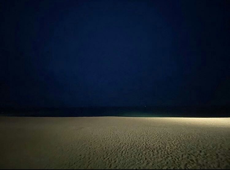cutepurpleboy's tweet photo. Choi Wooshik publicó esta fotografía en su cuenta de Instagram, es similar a la playa a la cual Tae fue, así que posiblemente, su amigo de Wooga estaba con él☺️💜

(https://t.co/8OJS4IVLxG)
La foto es de hace 19 horas, así que hace un día estuvieron ahí
@BTS_twt #TAEHYUNG #V #BTS https://t.co/67oB9SoouD