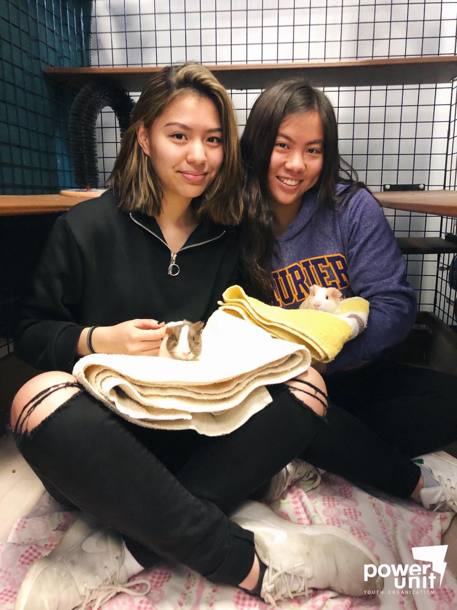 Volunteering at the Markham Cat Adoption and Education Center was the purrfect way to spend our Sunday! Thanks for teaching us about cats in our community🐱 To learn more and to stay up to date with current events, check out @ontariospca and @markhamcatadoption on Instagram!