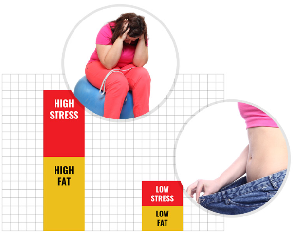 Attention Women &amp; Men Over 35: Is Stress Making You Gain Belly Fat? If so, watch this: …hyf3irlm9mdtsybtn63.hop.clickbank.net/?tid=IS_STRESS…