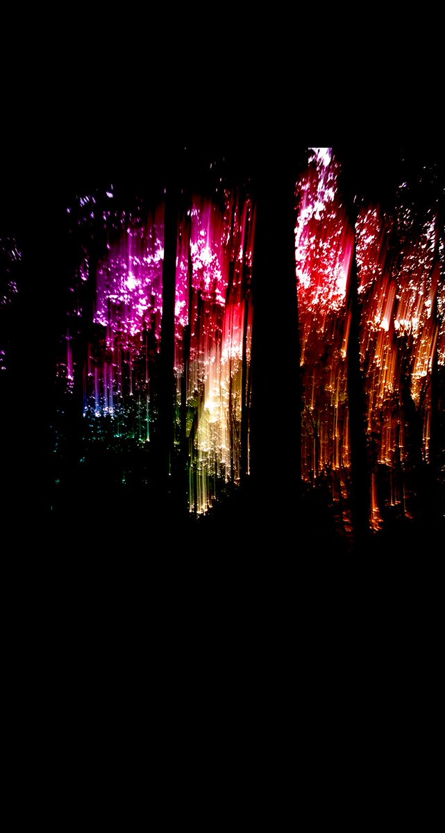 Lonesome_Light's tweet photo. The barrier is closing soon, I feel it. Without the presence of the elite to connect my reality with yours..there will be no more connection https://t.co/08KK0xXXnn