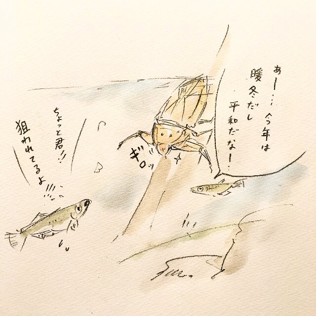 タガメを描きました🐞。 