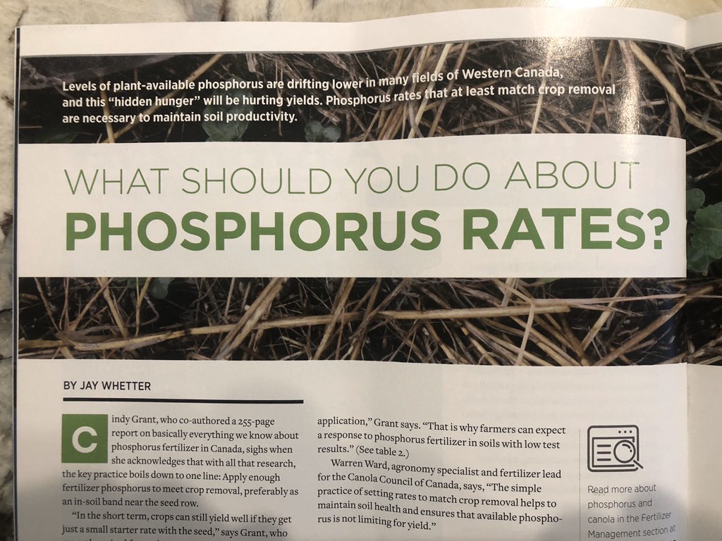 There’s no doubt there’s #phosphorus in the #soil that can be made available, but it scares the hell out of me with some of the sales pitches out there claiming “spray this on &amp; cut your fert in half” yr1&amp;2 ok. Yr3? Yr4+ #crashandburn 
#agronomy <a href="/CanolaWatch/">CW Jay Whetter</a> Great read #plant20