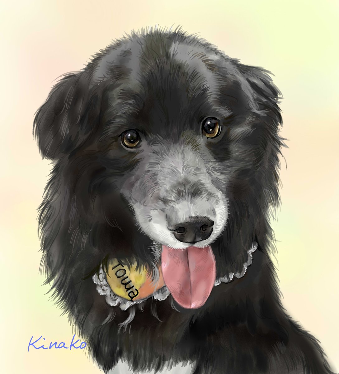 れいちゃん様専用　色鉛筆画　犬　原画