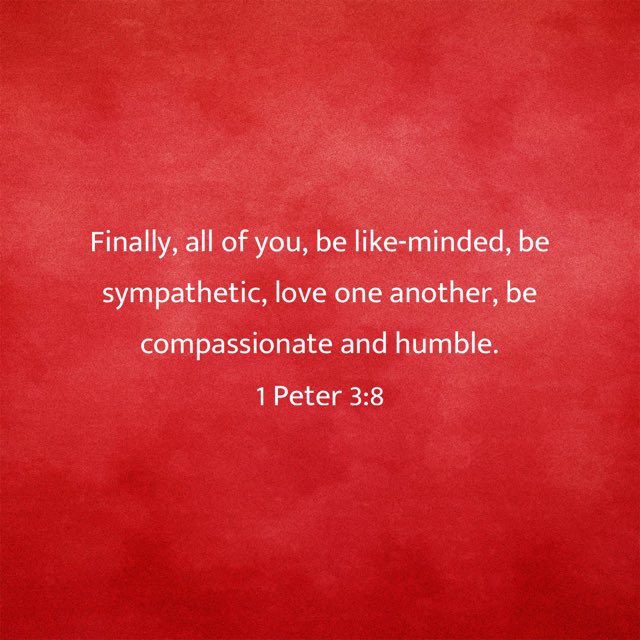 first_hollywood's tweet photo. Day 18-INCREASE Focus
I Peter3:8
#FCOGHollywood https://t.co/WVwQnDqdXI