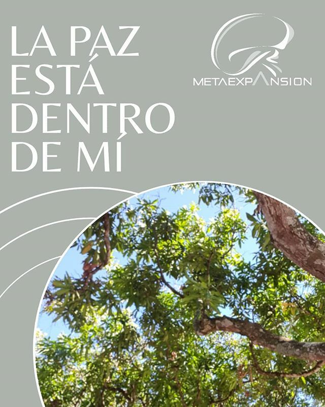 MetaExpansion's tweet photo. Cultivar la Paz interior, en nuestros pensamientos, emociones y https://t.co/6lWUmbzq74 una elección consciente, es un acto de bondad y de amor con nosotros y con la humanidad.🌿🌿🌿🌿 #unidad #somosuno @METAEXPANSION @twittblog @adri_german https://t.co/Oc8b3IJe0j https://t.co/UJ8cuu1Mpy