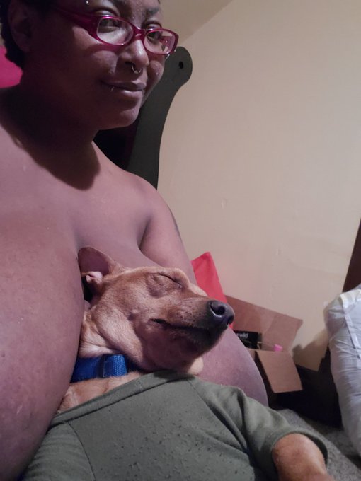 Rare sight of me in my glasses  but hes passed out and I feel bad to move... hes so comfy!!! https://t<a href="/tag/saturdaynight"class="tags"><span>#saturdaynight</span></a><a href="/tag/gettingdressed"class="tags"><span>#gettingdressed</span></a><a href="/tag/timetodrink"class="tags"><span>#timetodrink</span></a>