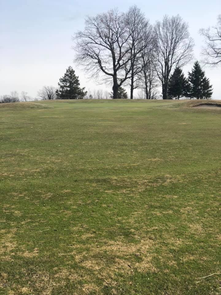 Signs of golf course openings in Eastern Ontario... <a href="/amherstviewgolf/">Amherstview Golf</a> in the west end of Kingston looking at a March 28 opening date.