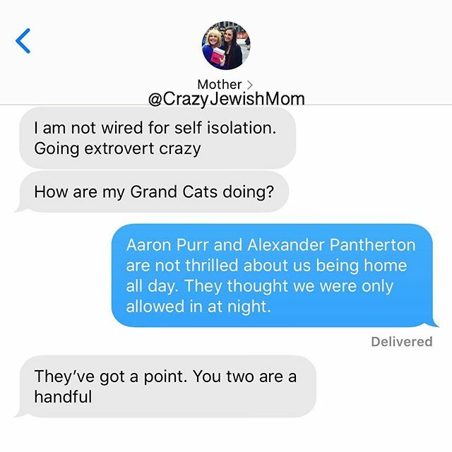 YourCrazyFamily's tweet photo. Cool thanks, @KimFriedmanNYC. @TheFoundingMeowers love me tho. #crazyjewishmom #covid_19 #corona https://t.co/6XjqGYjYlU https://t.co/4OQu4RNsnj