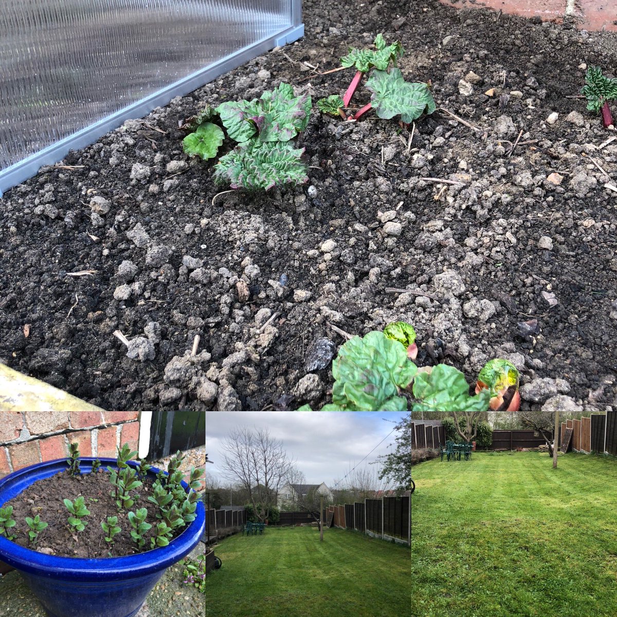 Ev_the_chef's tweet photo. Can’t beat the sign of new life and fresh cut grass #SpringIsComing #gardening #Veg https://t.co/7d84RaG2BH