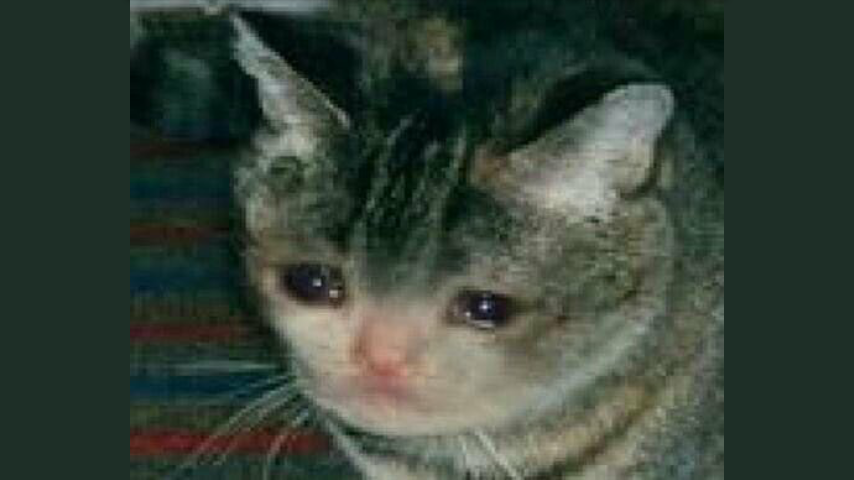 ᒪEᗩTᕼEᖇᖴᗩᑕE (RP!) (@of_brandnewface) on Twitter photo 