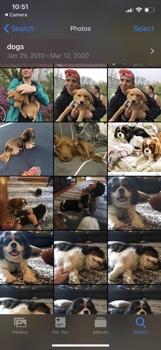 Did you know you can search “dogs” on your iPhone? Apparently I have 1,012 photos of dogs. Here are some of them. I spot  @AliOnTheRun1’s pup!