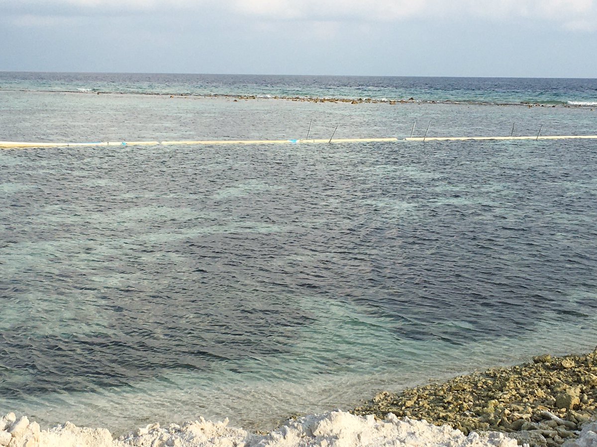 husendidi's tweet photo. #SiltNet jehumaky hamaekani alah hadhaa resort hikkaa iru kuraa kamakah nuhadhaa, rayyathun dhiri ulhey rahthah hikkumuga aai bandharu hedhumuga ves kuran jehey kamakah hedhun varah muhimmu. #Idonotsupport #landreclamation #resorts #SaveMaldives #Corals @ibusolih @MohamedNasheed https://t.co/2v3U5BHWw7