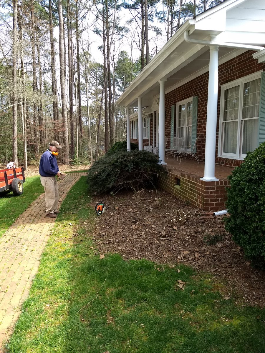 lowattinc's tweet photo. Spent some time with the chainsaw in hand cutting the neighbor's old shrubs.  In a year they'll be huge again if the root system isn't pruned also. https://t.co/n96L8ygzlk