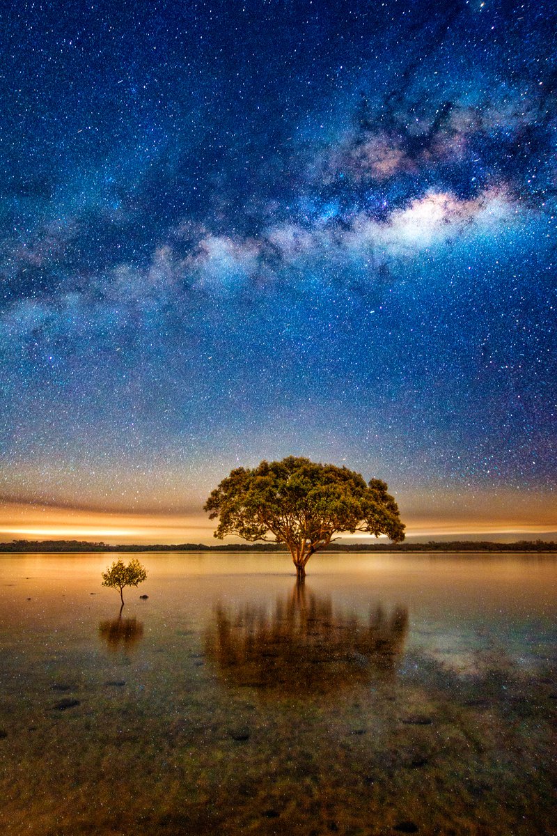paulmp's tweet photo. Hey #Artists and #Creatives, please post your work to your feeds, there is almost entirely only bad news filling people's feeds... this is exactly when the arts are needed most.
This is something I photographed in outback Western Australia.
#PositiveVibes #PositiveFeed https://t.co/z9hBwiCBq4