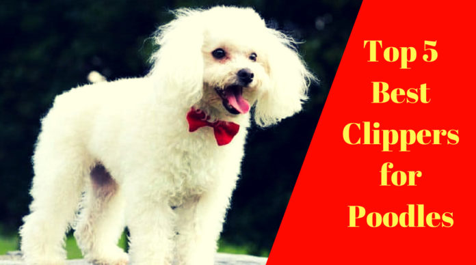 top 5 dog clippers