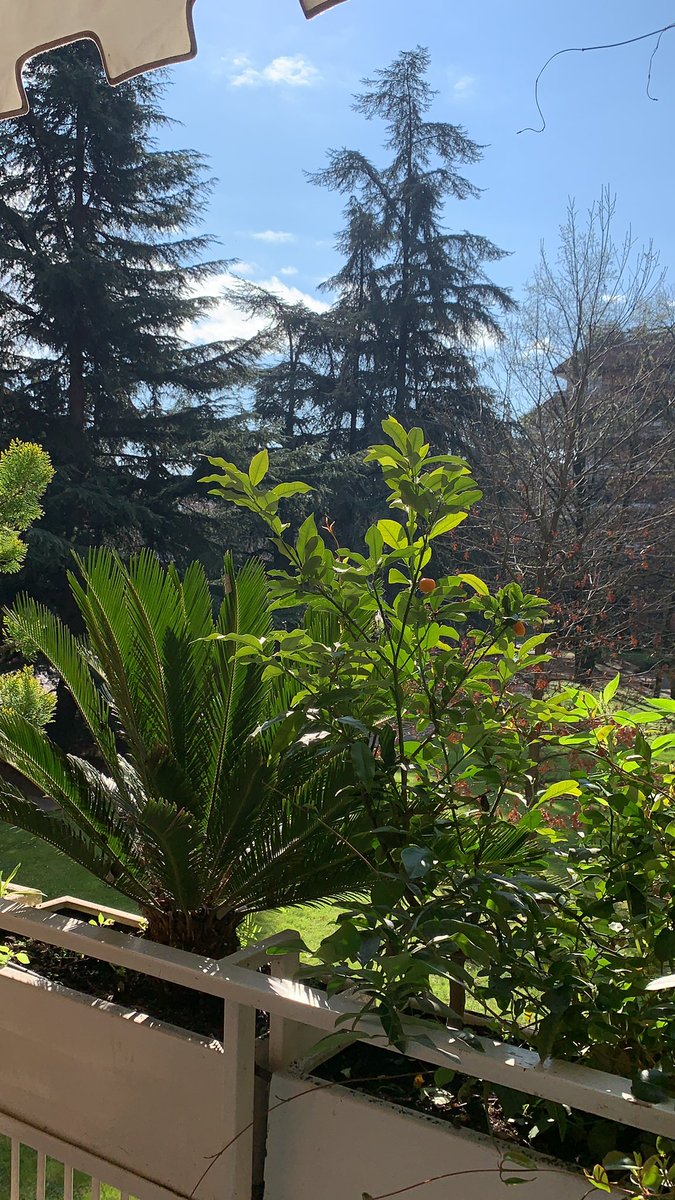 DarioButtitta's tweet photo. Insieme siamo una Nazione. Un altro giorno a casa per tutelare tutti...ma sotto il nostro sole. @EngineeringSpa #orgoglioitaliano #coronavirus #italia #iorestoincasa https://t.co/tQUd3Cwmrn