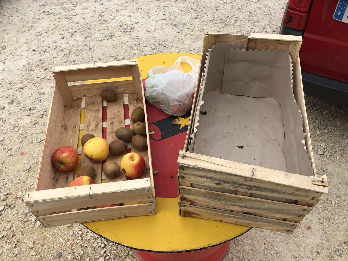 Charlotte Mader tweet media