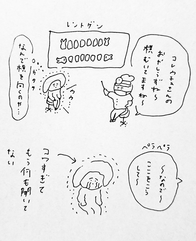 鼻の毛穴ケア、みんなたちはどうしていますか 