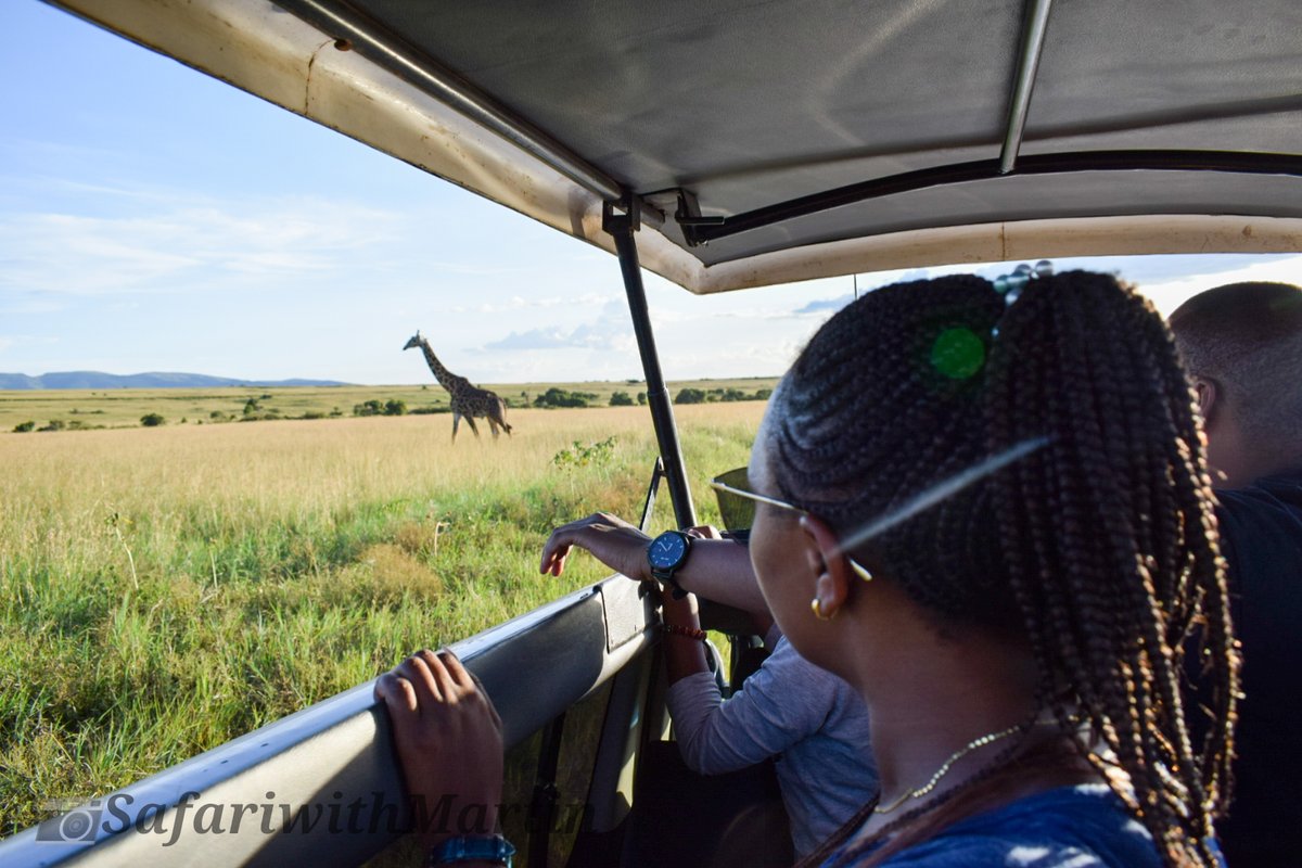 CustomSafari's tweet photo. The Great Masai Mara, the perfect safari destination for a family holiday ..take advantage of low season rates valid from April - June 30th. 
Thread of hand picked camps &amp; lodges offering an amazing stay in the wild. #Customsafari #Familysafari #Privategroupsafaris #twendesafari https://t.co/UbXZpuUzGn