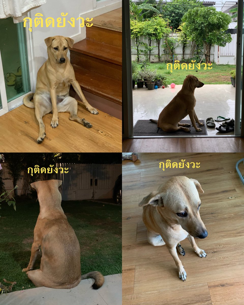 นี่คือคุณช่วงนี้