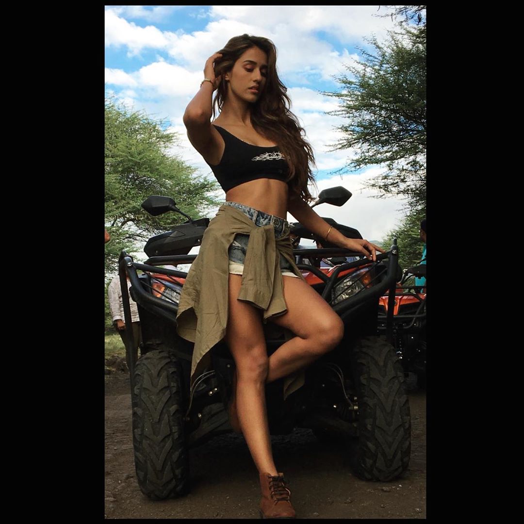 DishPatani's tweet photo. #malangdiaries 🌸 https://t.co/F7KylM3mn6
