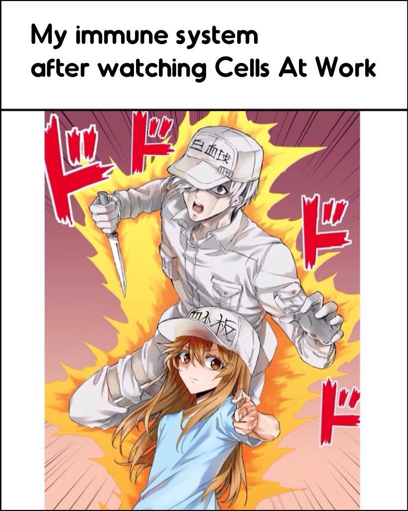 Anime Memes tweet media