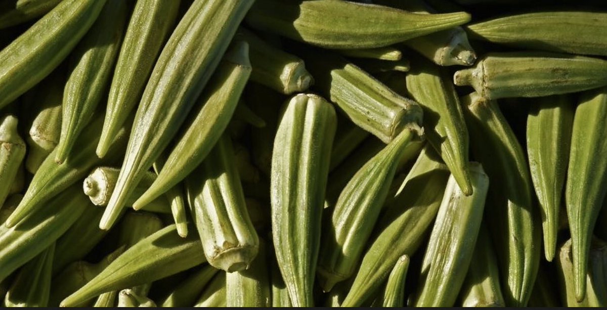 tbenderphoto1's tweet photo. #HTPhotoGallery #PHOTOS: #PineView #PeaceJam and #FarmShareInc annually distributes upwards of 40,000 pounds of fresh free produce to #SarasotaCounty residents. @PeaceJam @FarmShareFL
https://t.co/UByyOwuQC3
#HTVideo #CheckOutTheVideoAndPhotos
https://t.co/vRjjbsTmwW https://t.co/xX5d3OBQev