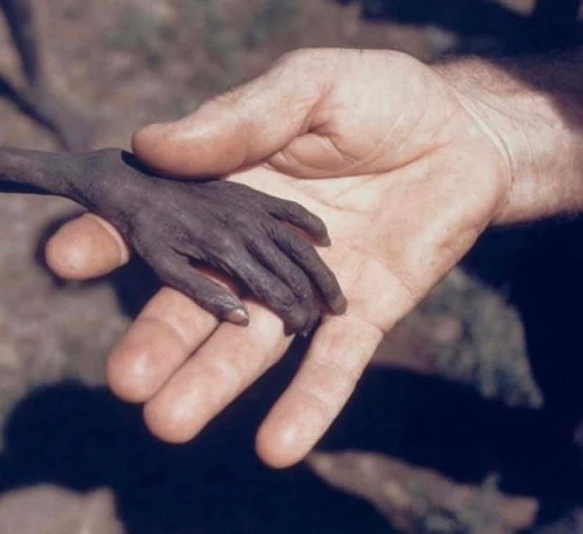 Le virus de la "faim" tue chaque jour 8500 enfants et le vaccin existe !
Ça s'appelle "nourriture"!
Ahhh... mais ça ne sort pas à la télé 💔 ‼️