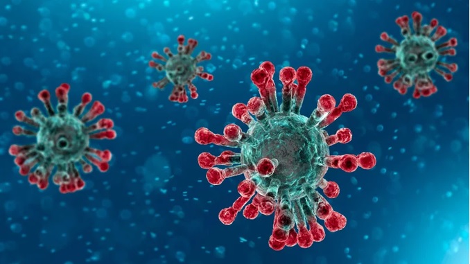 Watch a special episode of 'Total Health' focused on #CoronaVirus to dispel myths about #COVID19, with a panel of Doctors on <a href="/DDNewslive/">DD News</a>. 

Link: youtu.be/l-ttbBuoMEU

#CoronovirusPandemic  #CoronaOutbreak #SayNo2Panic #SayYes2Precautions