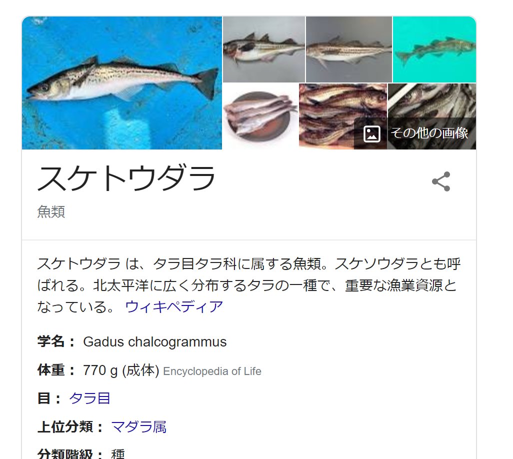 やのせん Vr教育者 على تويتر 息子が社会の勉強で スケトウダラ と言ってたので スケソウダラでは と訂正したら じつは スケトウダラ が正式名称と聞いてショックを受けている 前はスケソウダラだったような気がするんだけなぁ