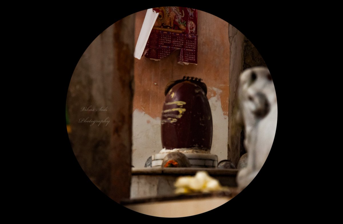 jmuencyclopedia's tweet image. #bua_butani_mandir
Next to Rani Kalhuri temple is Ramtalai temple, also known as Bua Butani Mandir at Julakha Mohalla (Old Jammu).
Pc @VikasSodi
Caption source mrinalini_atrey 
#jammuencyclopedia #jammu_Darshan #heritage #oldjammu

@JammuTourism @Martand_JK @vikramaditya_JK