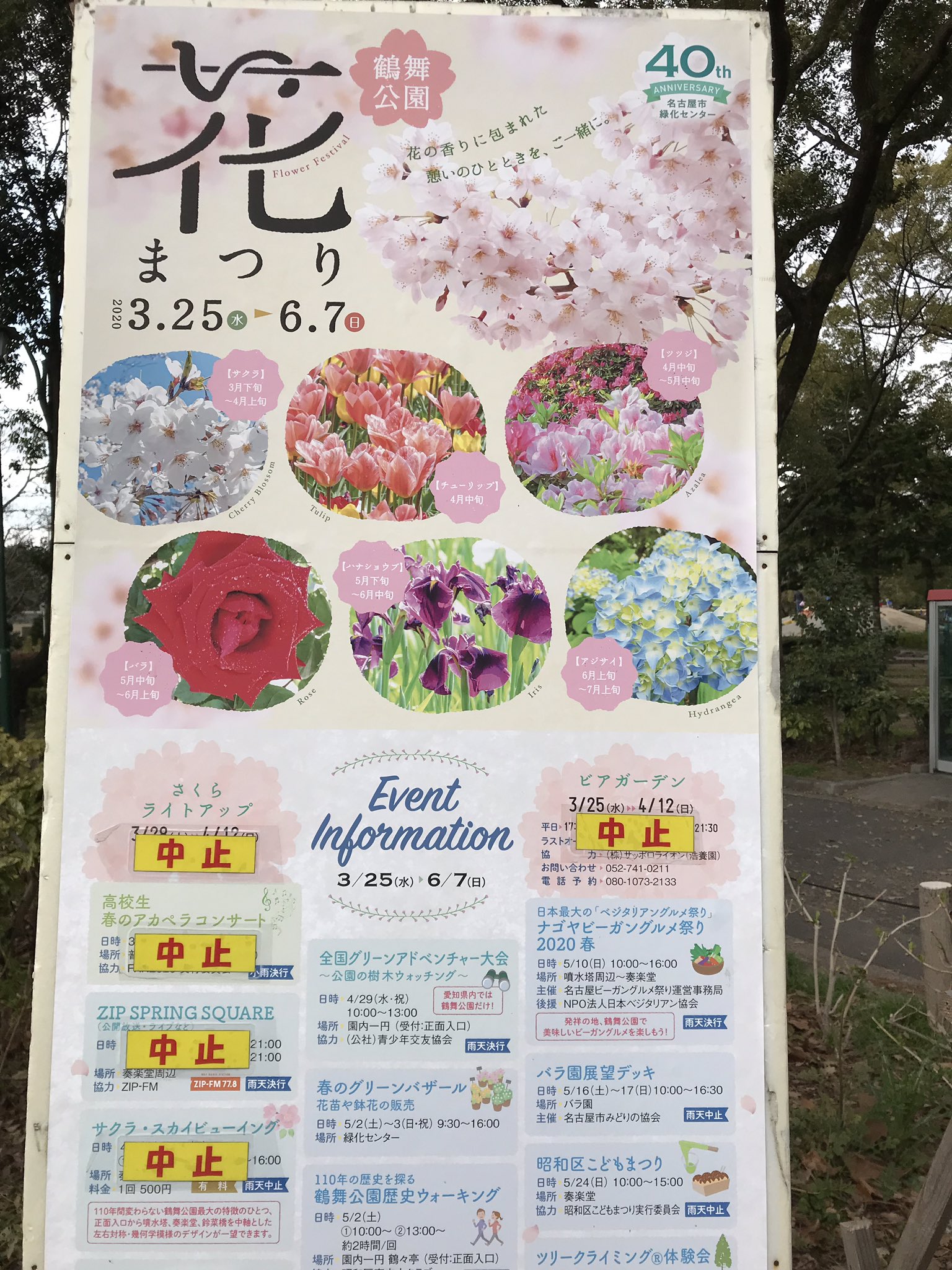 オムナイトの巣 Twitter Search Twitter