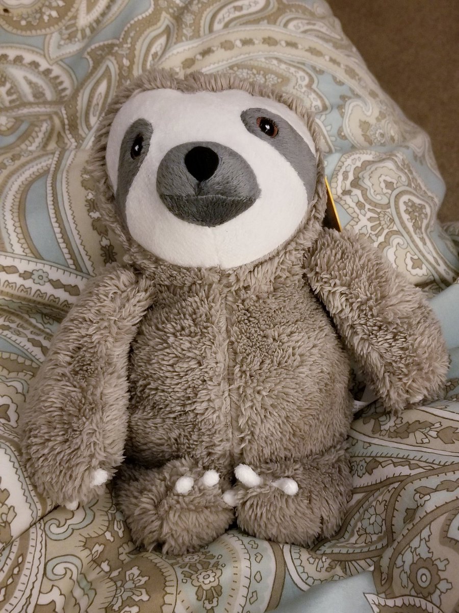 rd_pires's tweet image. Henrí is a French sloth. 
#ihaveaproblem #halp #hessocutetho #icouldntjustleavehimthere