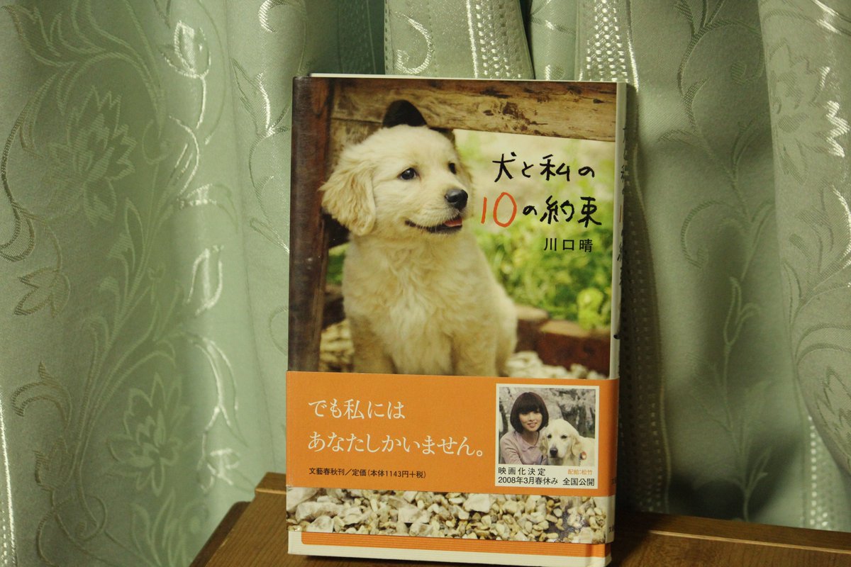犬と私の10の約束 犬と私の10の約束