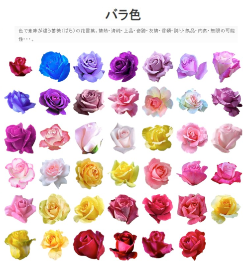 Kyan バラ色 Line絵文字が出来ました 色で意味が違う薔薇 ばら の花言葉 情熱 清純 上品 奇跡 友情 信頼 誇り 気品 内気 無限の可能性 T Co 5mnigx8qwt Line絵文字 Lineemoji T Co Vuawz90olm